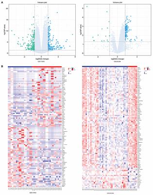 Exploring the interaction between T-cell antigen receptor-related genes and MAPT or ACHE using integrated bioinformatics analysis